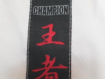 Karatepak Hayashi Kumite 160